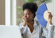 Boss  Refused To Turn On The Air Conditioner During A Heat Wave, So Employees Destroyed His Personal Fan