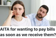 A Person Clashed With Their Partner Because They Like To Pay Bills As Quickly As Possible, And Their Partner Likes To Take Their Time