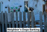 Man’s Neighbor Had A Pitbull That Wouldn’t Stop Barking And Charging To The Fence Whenever They Left The House, And When They Got A Second Dog, They Couldn’t Take It Anymore