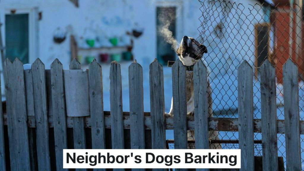 dog barking over the fence