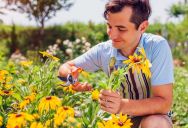 Son’s Simple Backyard Favor for Mom Ignites a Nightmare War With an All-Powerful HOA