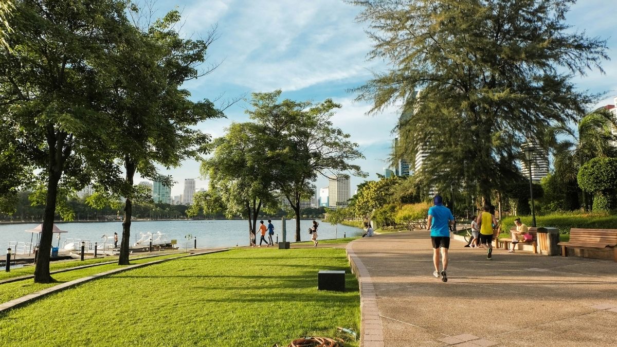 people at the public park