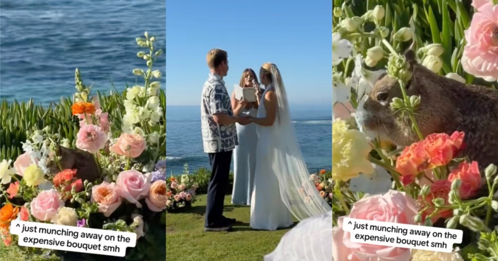 couple getting married