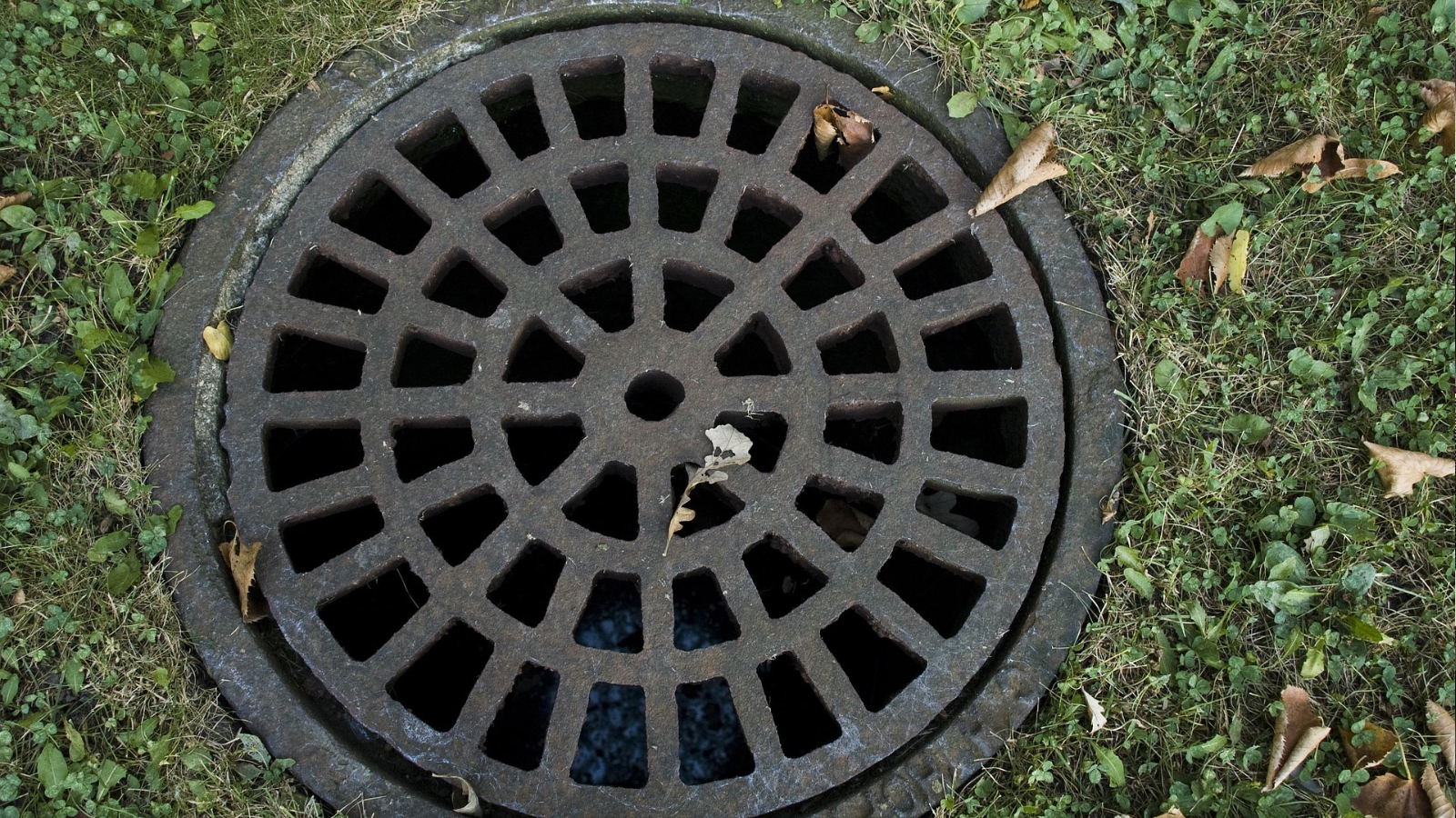 A sewer grate cover