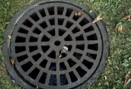 A Tenant Says a Sewage Problem Made Their Apartment Unlivable, but the Landlord Still Wouldn’t Fix It