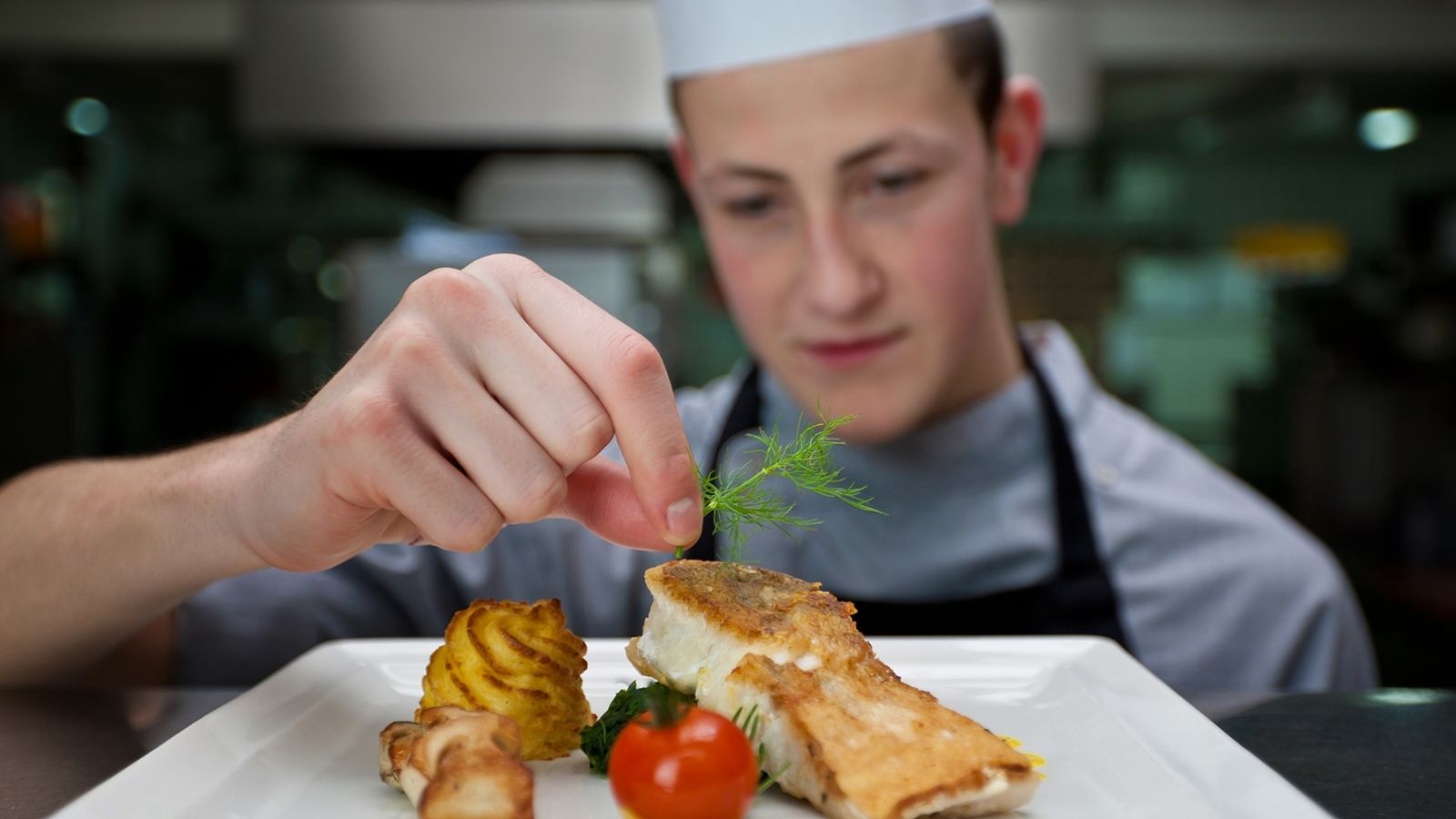 young chef plating a meal