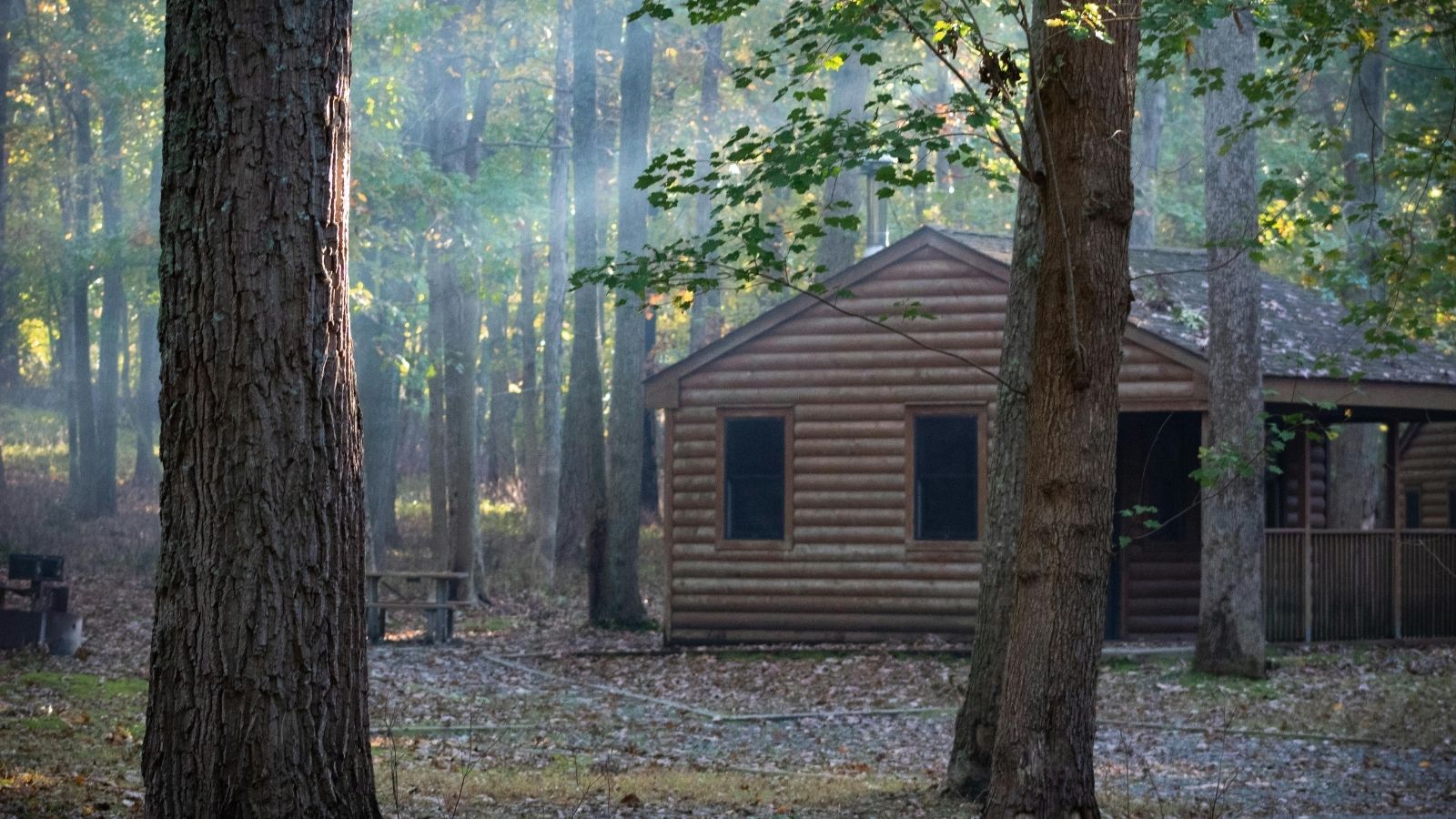The Workplace Trap: Why a Father’s Refusal to Let His Daughter Work Exploded Into a Bitter Battle Over Her Mother’s Choice A cabin in woods