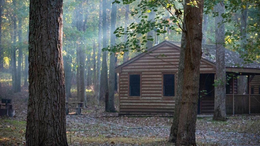 A cabin in woods