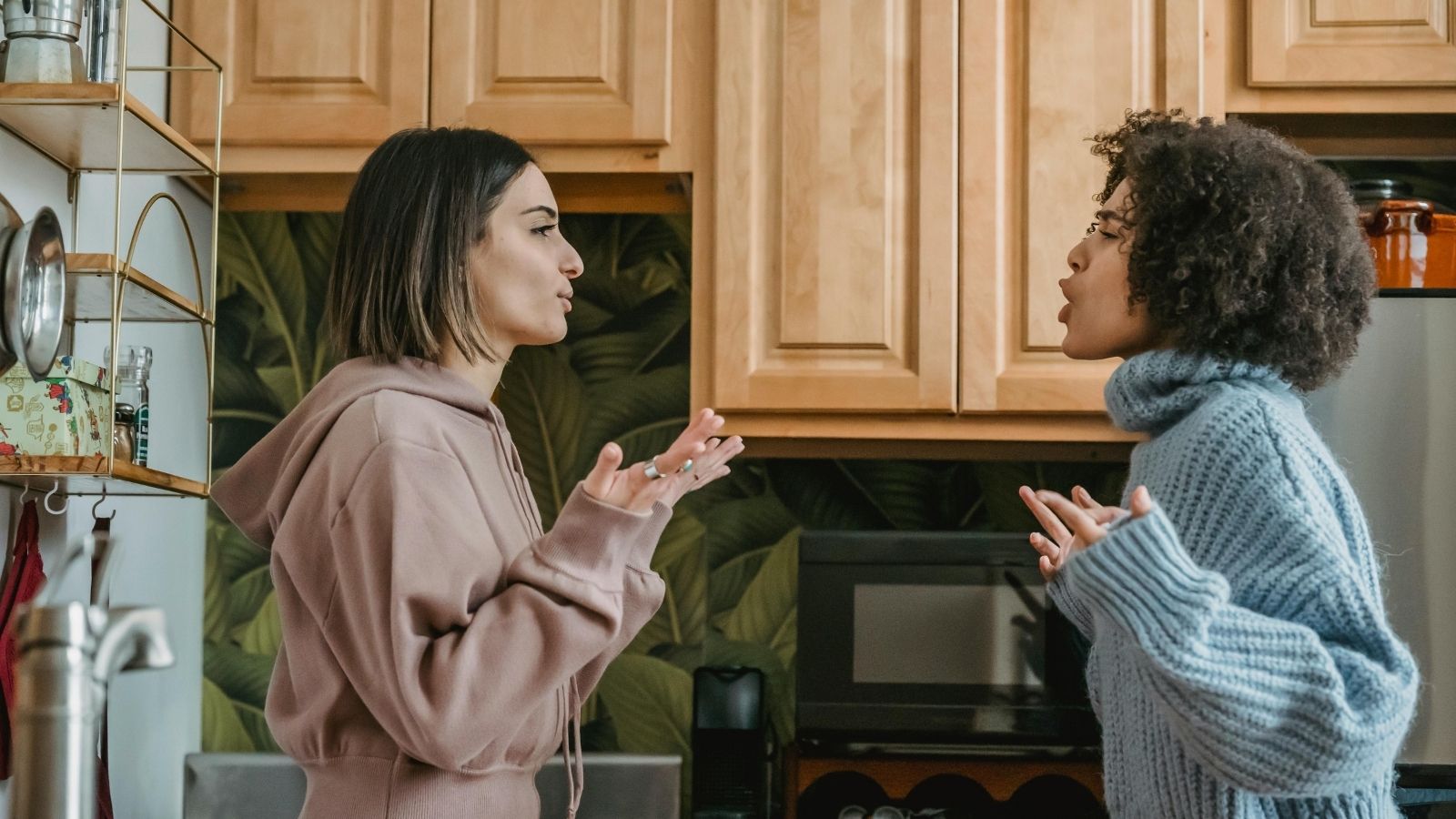 Two women arguing in a kitchen