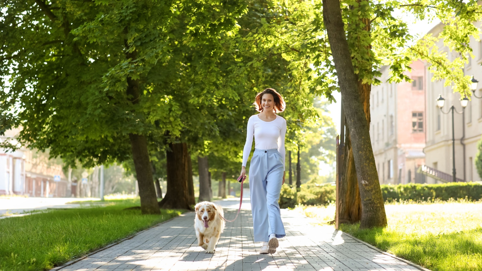 Park Visitor Told Dogs Weren’t Allowed Despite No Posted Rule, Leading to Escalation With City Worker Dog on a walk