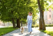 Park Visitor Told Dogs Weren’t Allowed Despite No Posted Rule, Leading to Escalation With City Worker