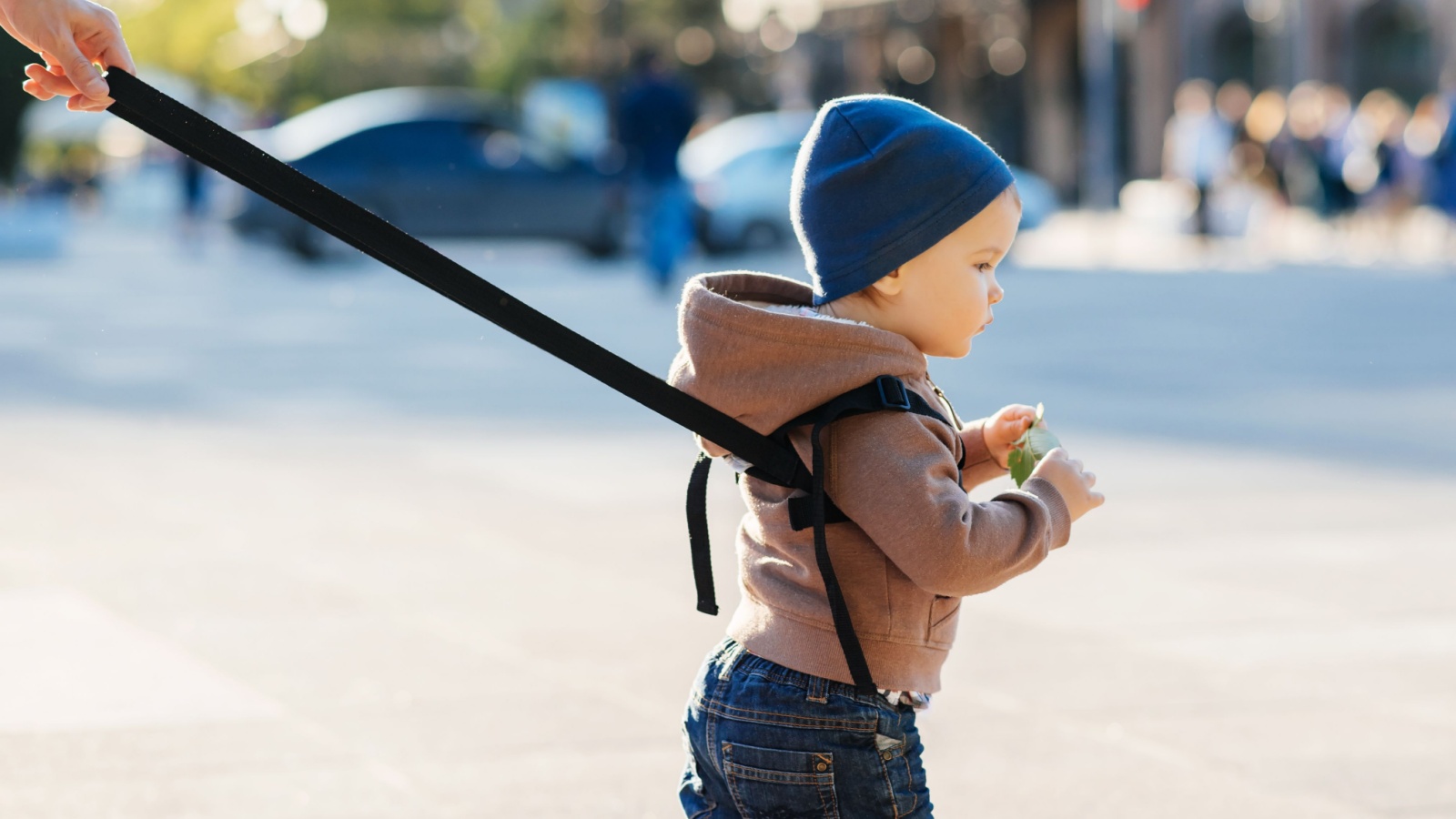 The Folded Display Showdown: How a Group of Unsupervised Toddlers Rekindled a Bitter War Over Storefront Etiquette Child on a leash