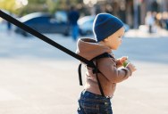 The Folded Display Showdown: How a Group of Unsupervised Toddlers Rekindled a Bitter War Over Storefront Etiquette