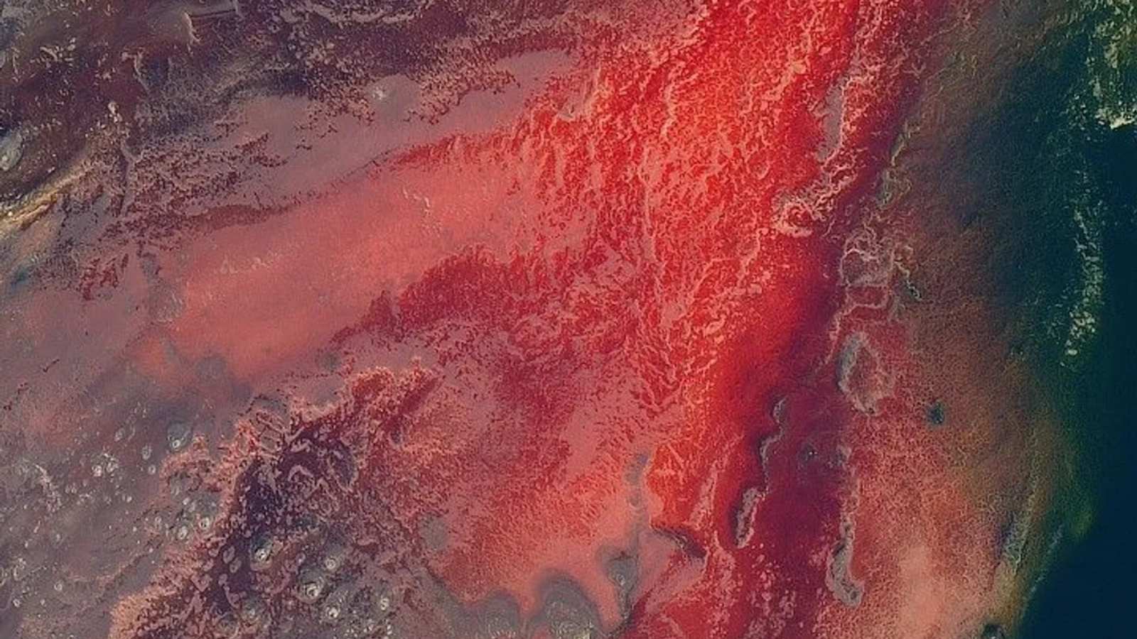 Lake Natron