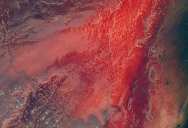 Blood Red Lake In Africa Is So Alkaline And Hot That No Animal That Falls In Can Survive