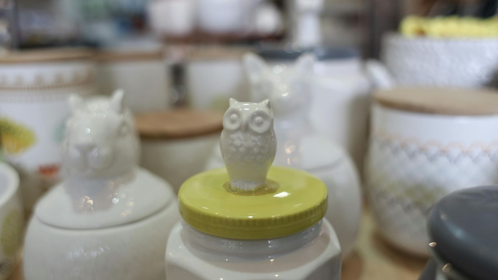 “It’s Mine Now!”: Sister in Law Explodes in Anger When Destitute Woman Asks for Her Stored Belongings Back Ceramic owl figurine among other ceramic items