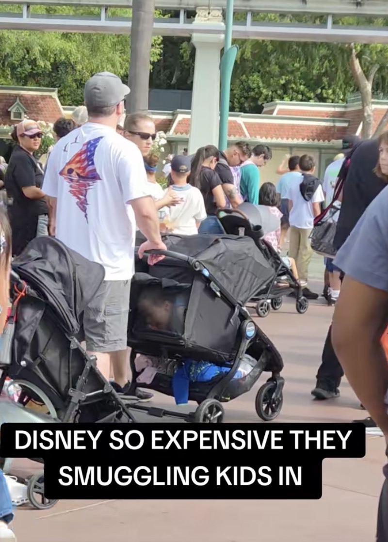 Smuggling the Mouse: How Two Parents Bypassed Disney Admission Fees and Landed in Hot Water with Park Security family at disney land