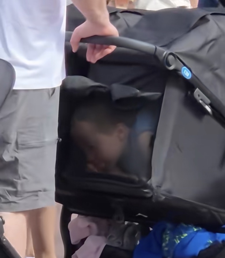 Smuggling the Mouse: How Two Parents Bypassed Disney Admission Fees and Landed in Hot Water with Park Security family at disney land