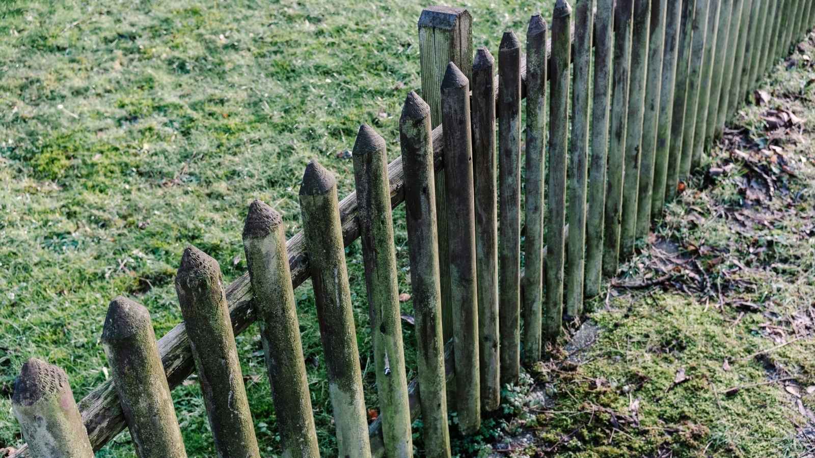 Fence running between two homes in a neighborhood