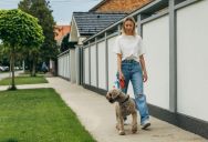 “Not on My Grass”: The Explosive Neighborhood Confrontation Over a Dog’s 30-Second Bathroom Break