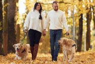 “It’s Like a Siren Only They Hear”: The Eye-Opening Moment a Couple Realized Why Their Peaceful Walk Always Ends in a Panic Attack