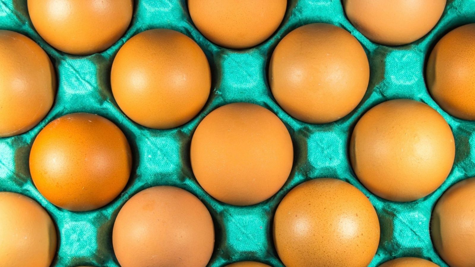 carton of brown eggs