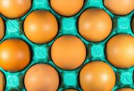 A Frustrated Homeowner Confronted a Teen He Caught Egging His House and Called the Boy’s Parents