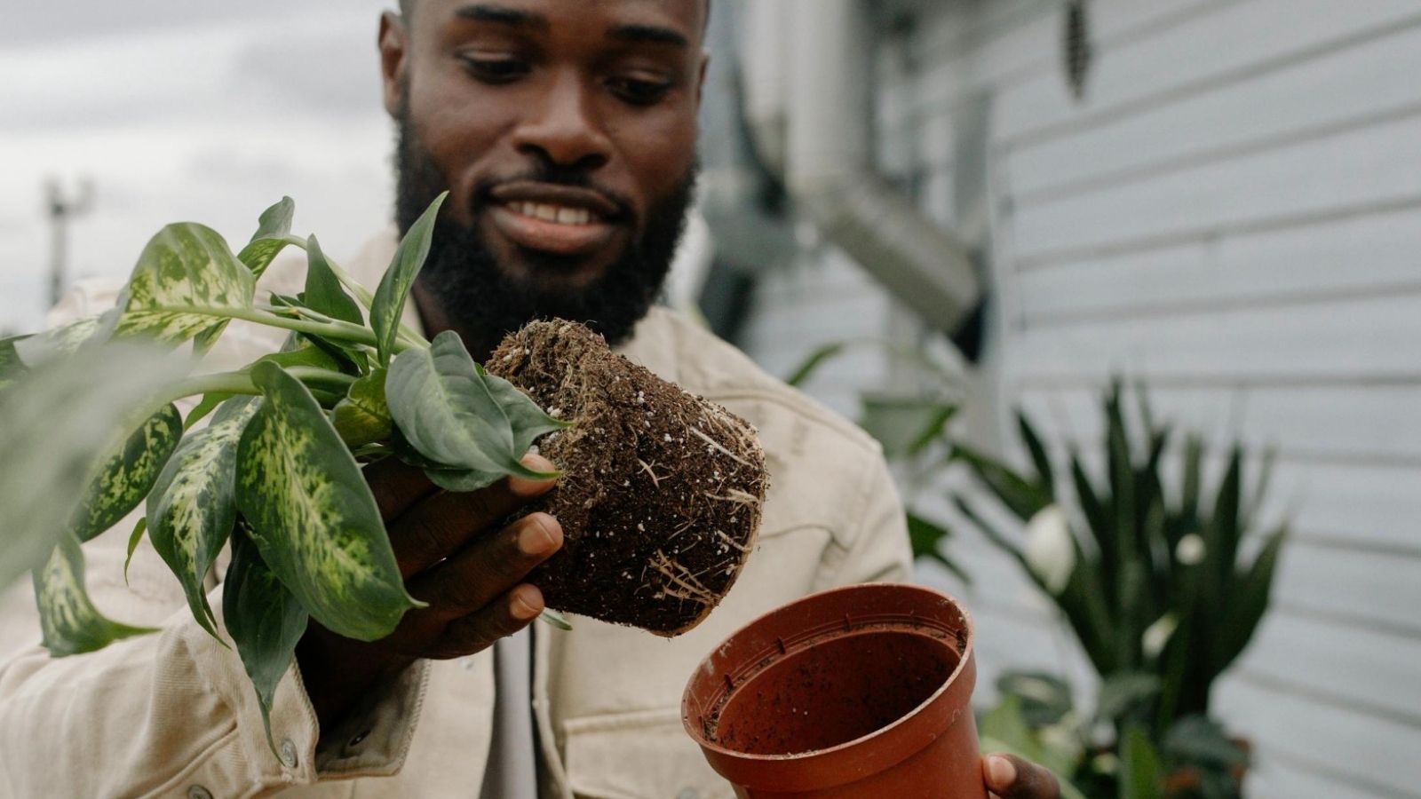 man planting plants for a garden