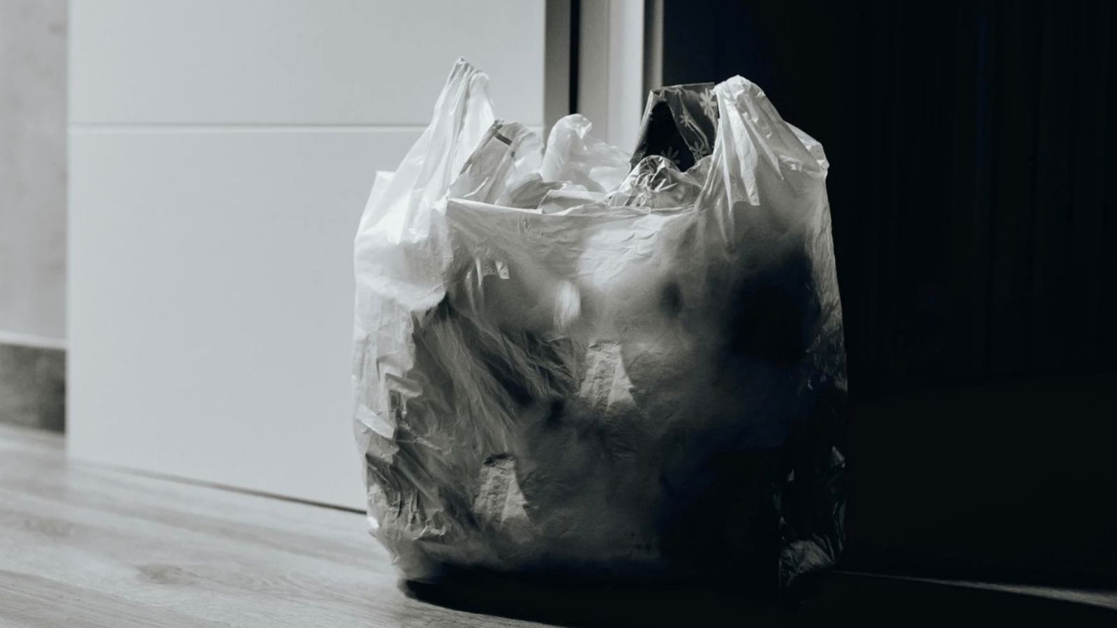 trash bag outside door