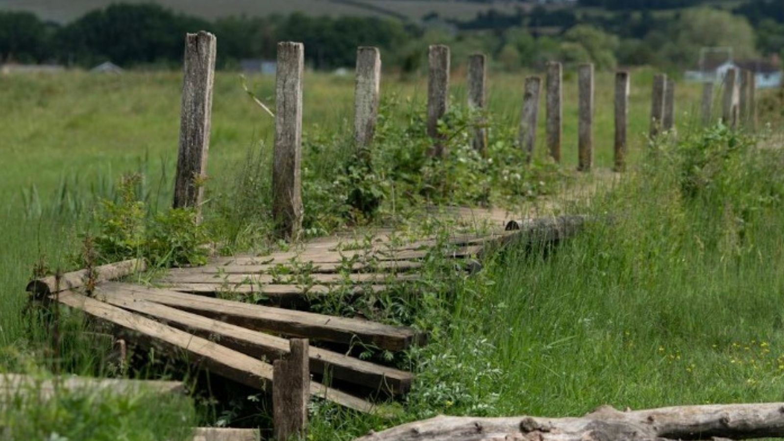wooden fence knocked over in the grass
