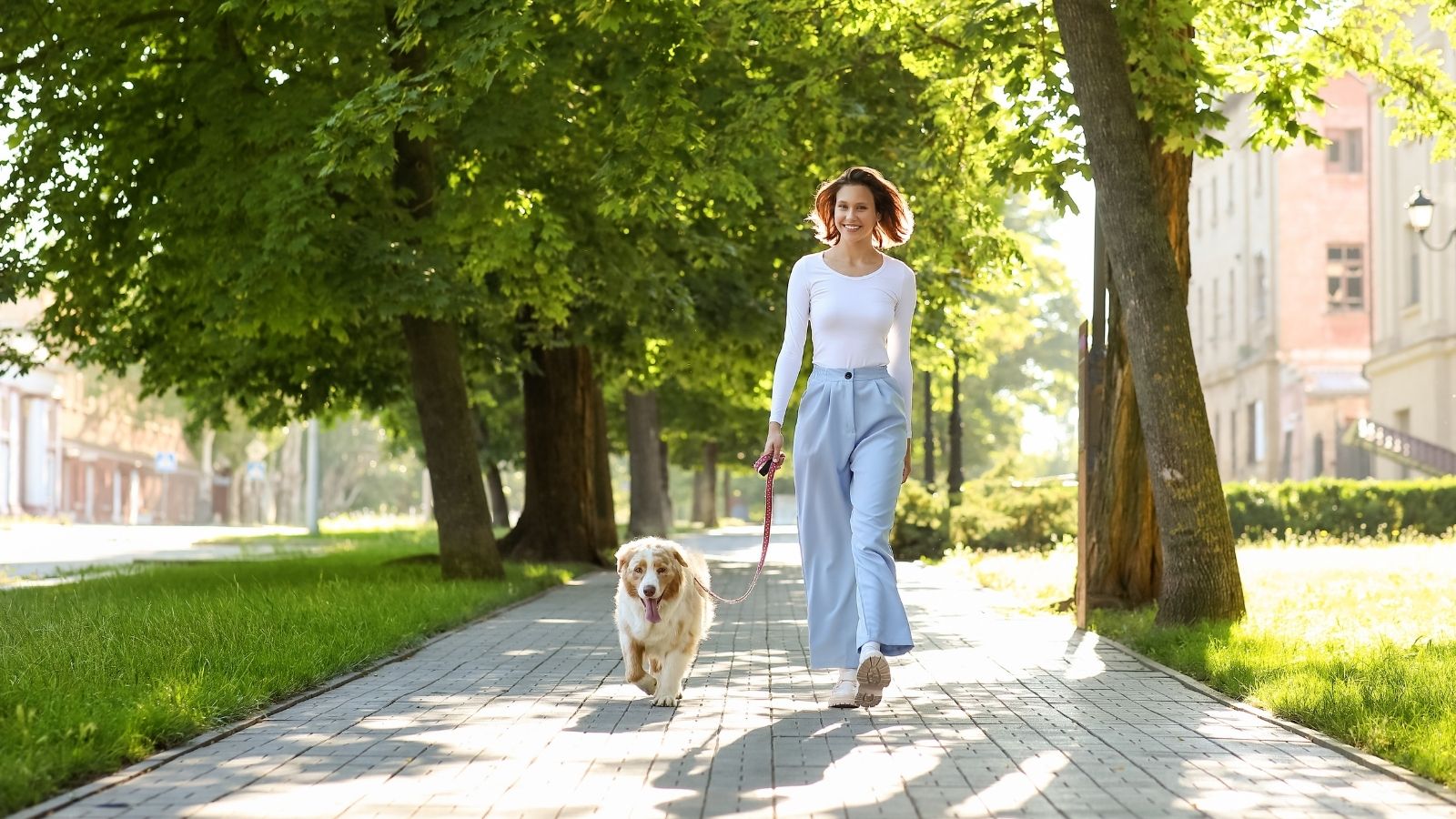woman walking a dog