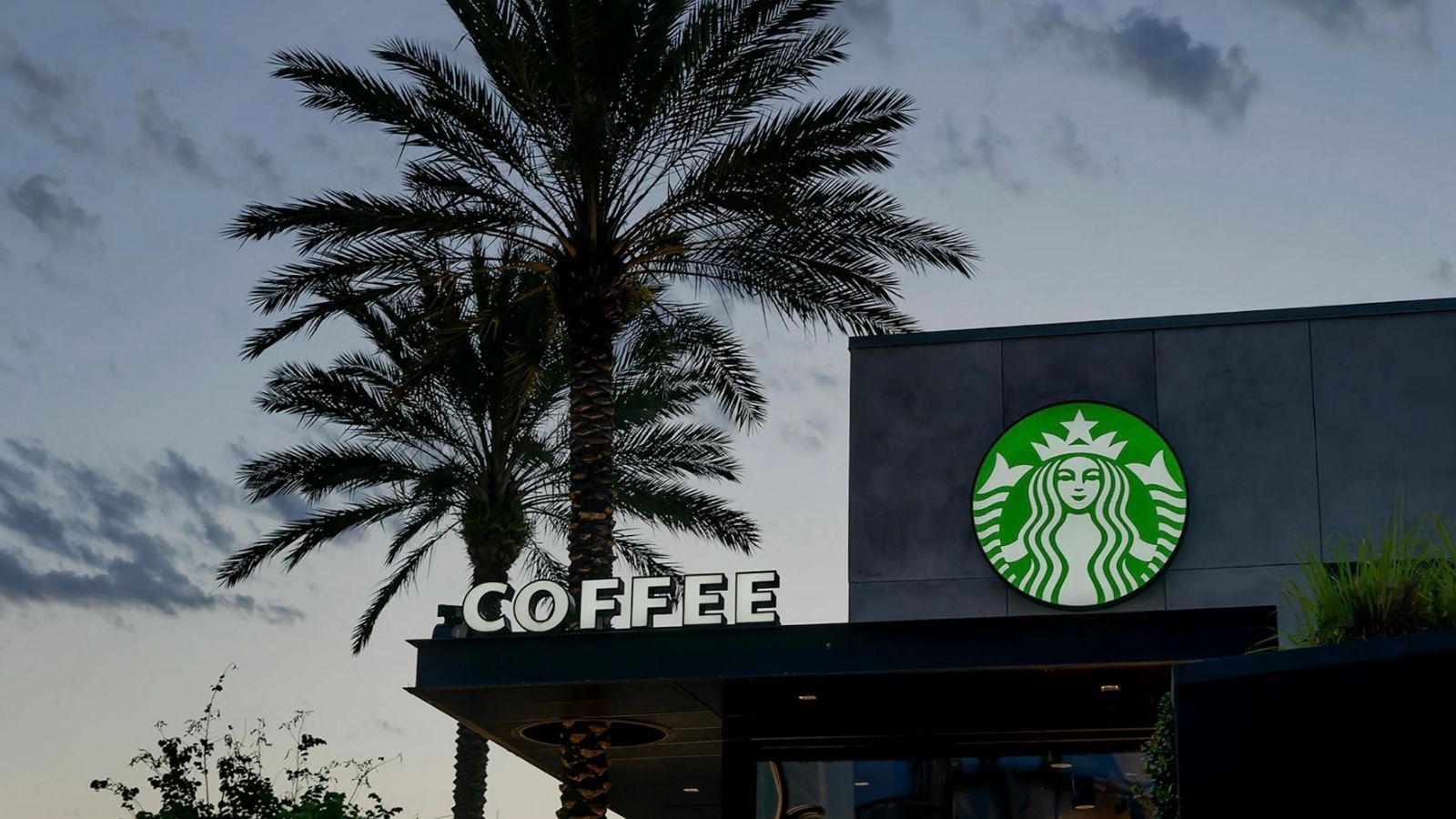 Employee Questions Promotion After Supervisor Is Tapped for Store Manager Role at Another Location exterior of Starbucks and palm trees