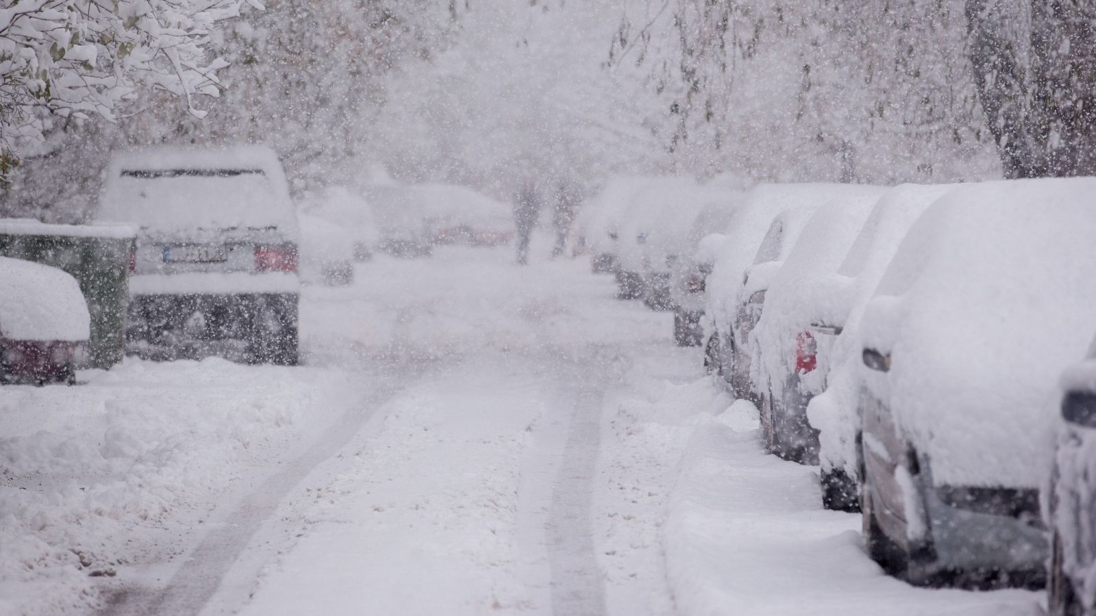 An Approaching Snowstorm Sparks a Relationship Disagreement Over Spending the Night cars parked on the street and covered in snow