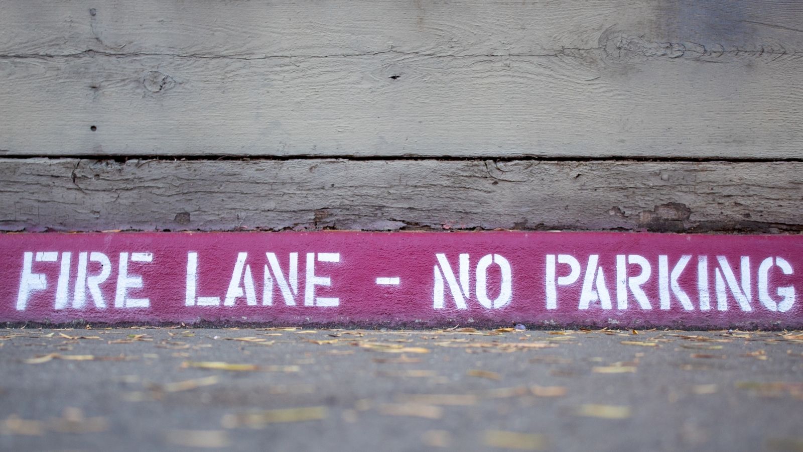 Driver Parked in Fire Lane Sparks Parking Lot Standoff After Woman Starts Honking Repeatedly "fire lane no parking" painted on the curb
