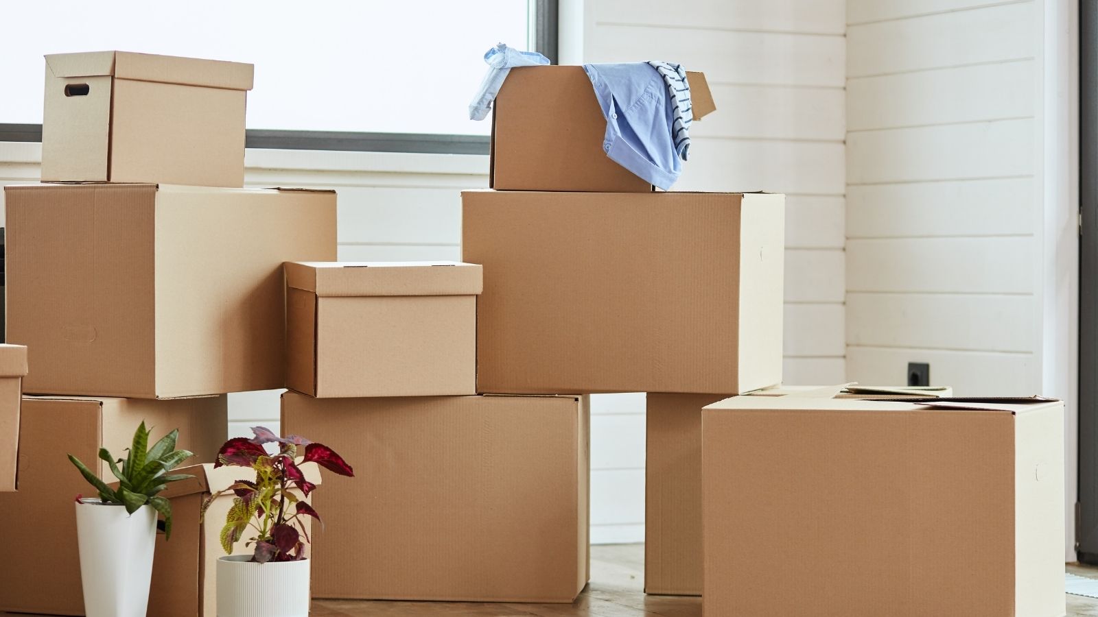 stack of moving boxes