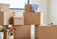 A Tenant Requested a Standard Month-to-Month Lease Extension—Then Immediately Moved Out After Management Created a Hassle