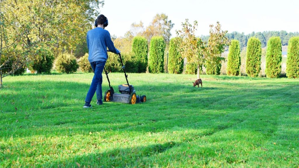 teenage boy mowing the grass