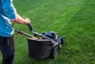 A Neighbor Kept Using a Homeowner’s Pristine Lawn to Turn His Mower Around—Until a Silent Boundary Left Him Stuck