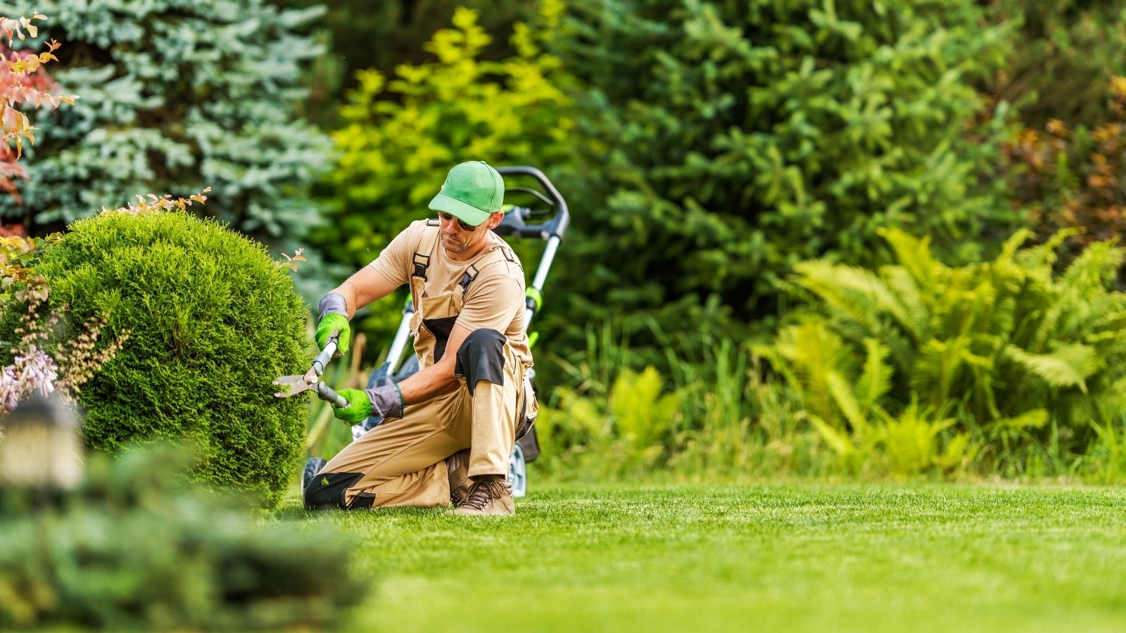 New HOA Board Member Proposes Cost Saving Gardening Change That Could Cost Current Gardener His Job professional gardener trimming bushes
