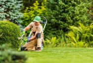 New HOA Board Member Proposes Cost-Saving Gardening Change That Could Cost Current Gardener His Job
