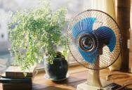 She Decided to Skip Visiting Her In-Laws Because the House Was Too Hot, but Her Husband Accused Her of Being Selfish