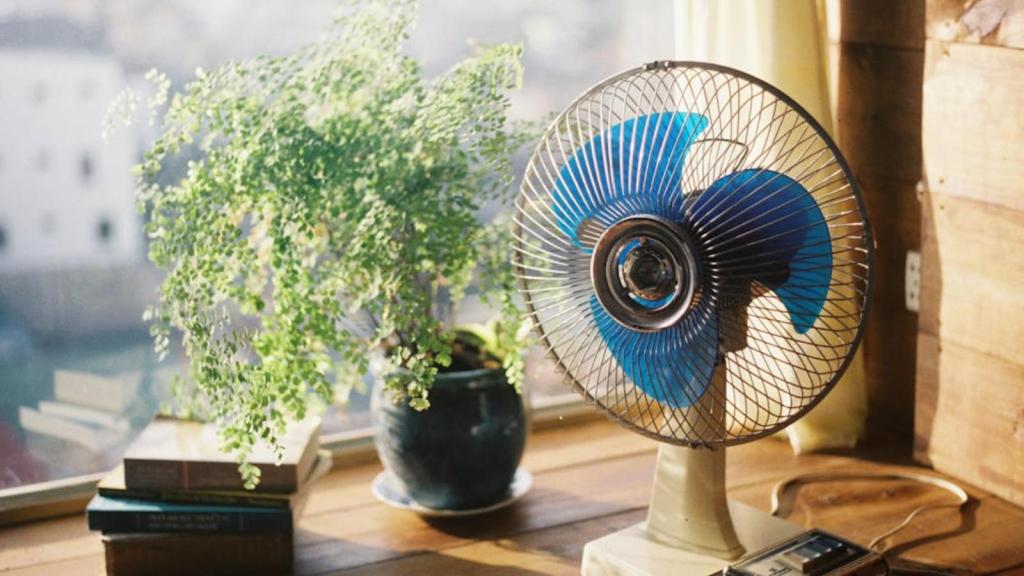 A sunlit room with a vintage fan, plant, and books on a wooden table
