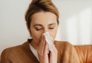 The Etiquette Escalation: How a Basic Sneeze Exposed a Deep-Seated Generational War Over Parental Authority