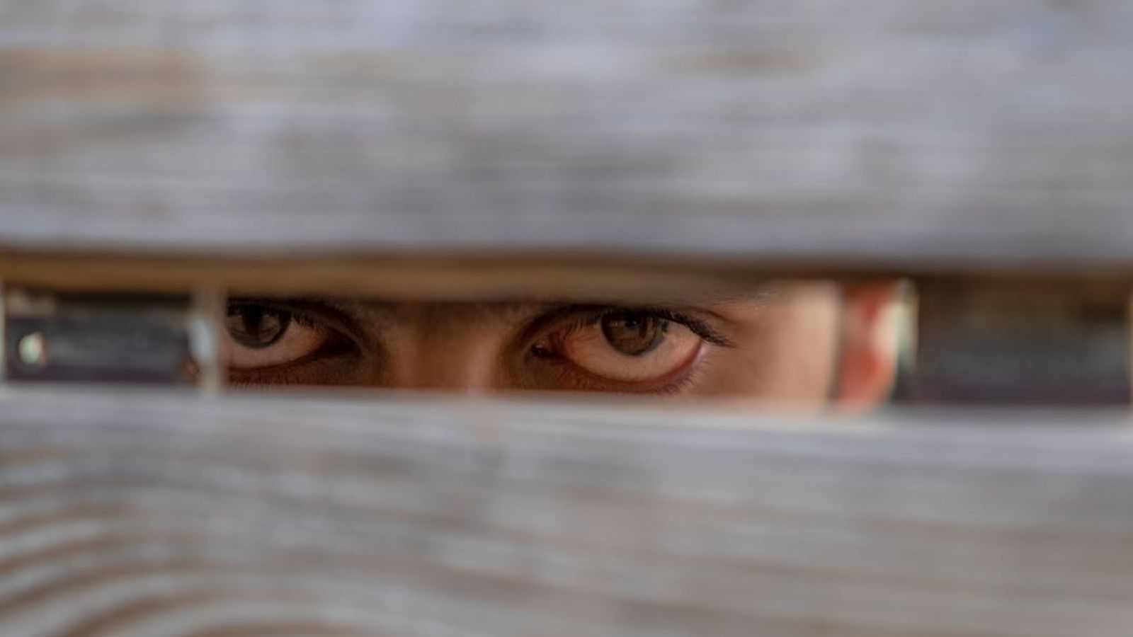 The Bored Hole Surveillance: Why a Creepy Campaign to Torment Two Dogs Prompted a High Stakes Police Intervention Person peeking through a fence hole