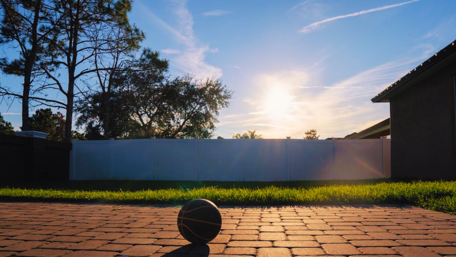 The Revenge Trap: Why a Toxic Neighbor’s Fraudulent Call to Child Services Sparked a Police Standoff Next Door A ball on the property's driveway