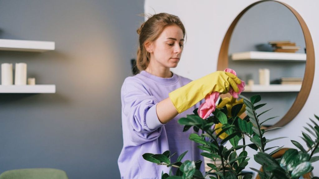 Woman tending to a houseplant indoors, using gloves and a cloth for cleaning