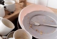 Wife Leaves Dishes in the Sink for a Few Hours, Then Comes Back to Find Her Husband Has Been Throwing Them Away