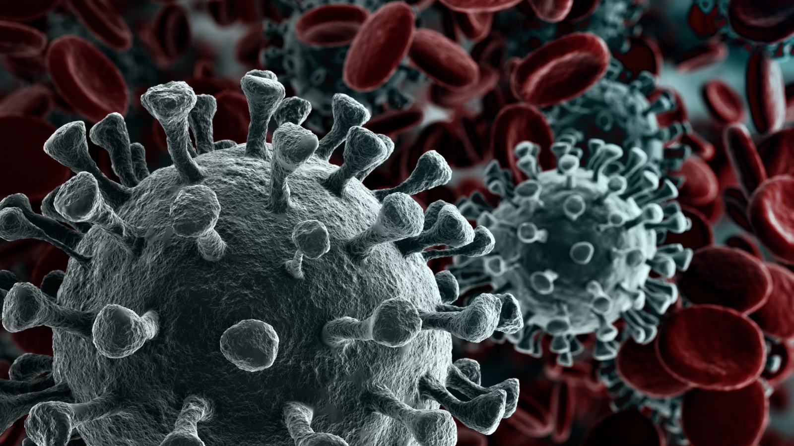 Virus 1 Research Suggests That Some Hosts May Help A Virus To Evolve To Better Spread, Offering Possible