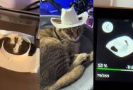 A Boy Printed A 3-D Cowboy Hat For His Cat