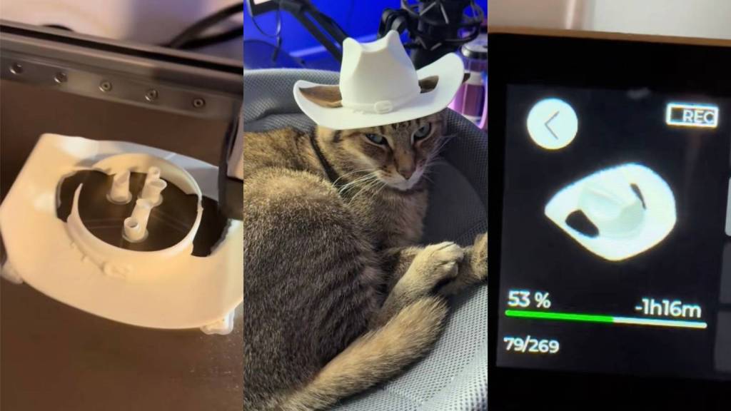 cat wearing a hat